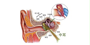 咽鼓管有什么用？如何检测其功能？